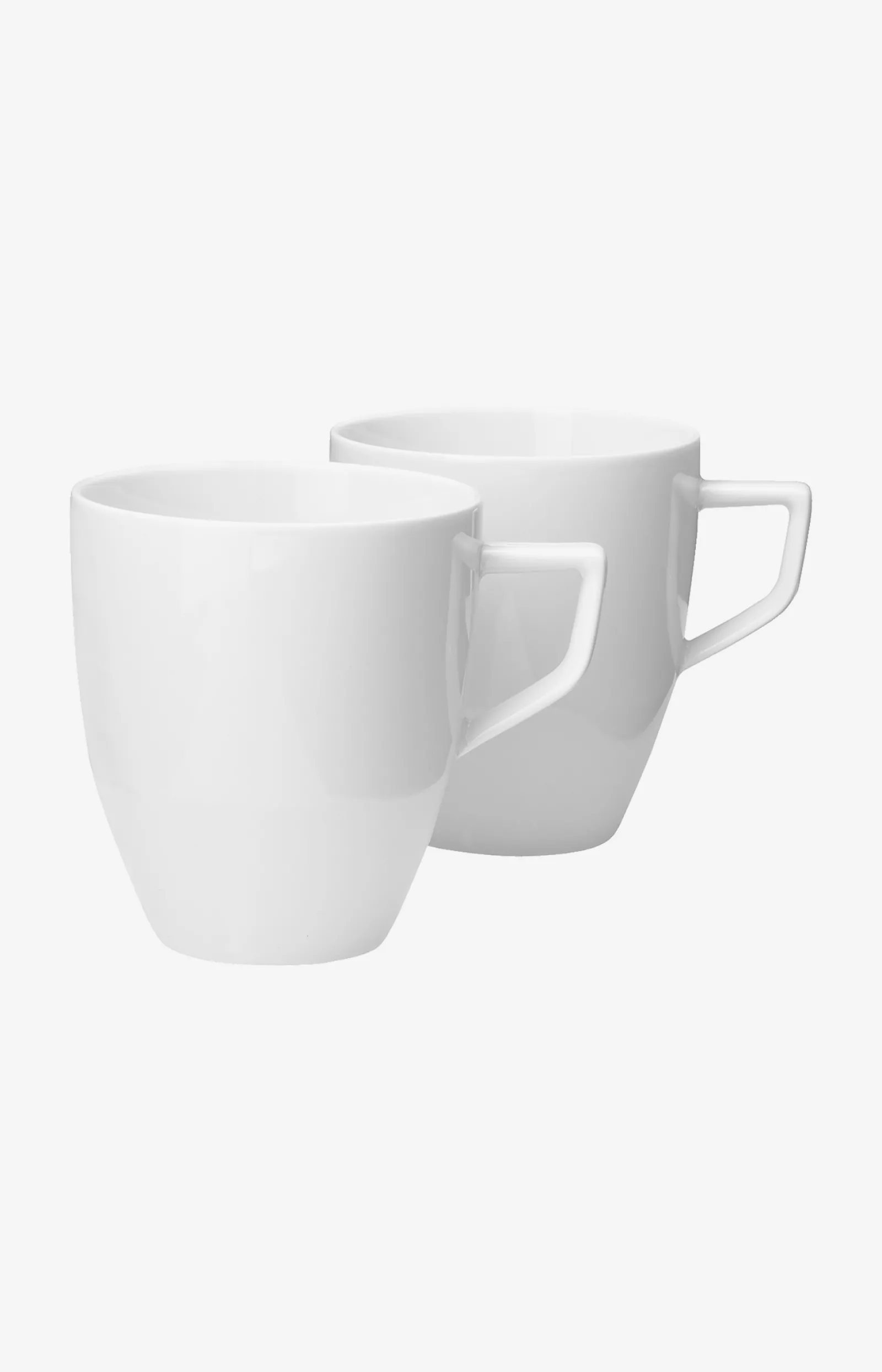JOOP! Geschirr*Becher Single Cornflower - 2er Set in